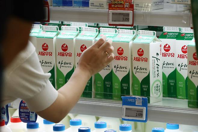 서울 시내 한 대형마트 우유 판매대에서 소비자들이 제품을 살펴보고 있다. (사진=연합뉴스)