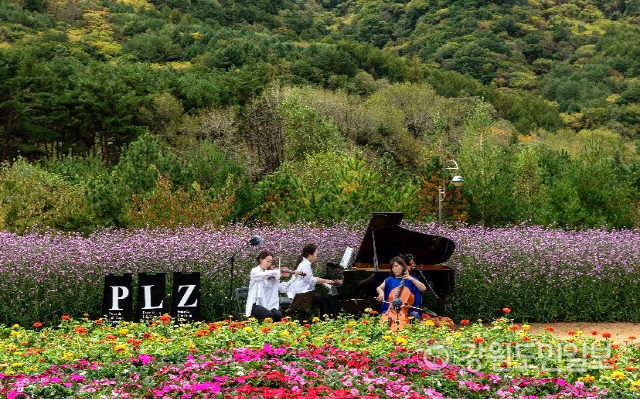 ▲ 지난 해 인제가을꽃축제 현장에서 진행된 PLZ페스티벌 공연 모습,