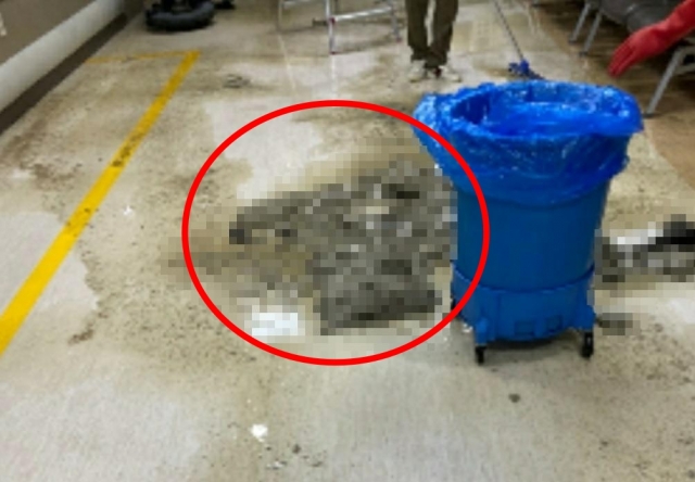 지난 15일 서울의 한 대학병원 천장에서 오물이 쏟아지는 사고가 발생했다. 연합뉴스