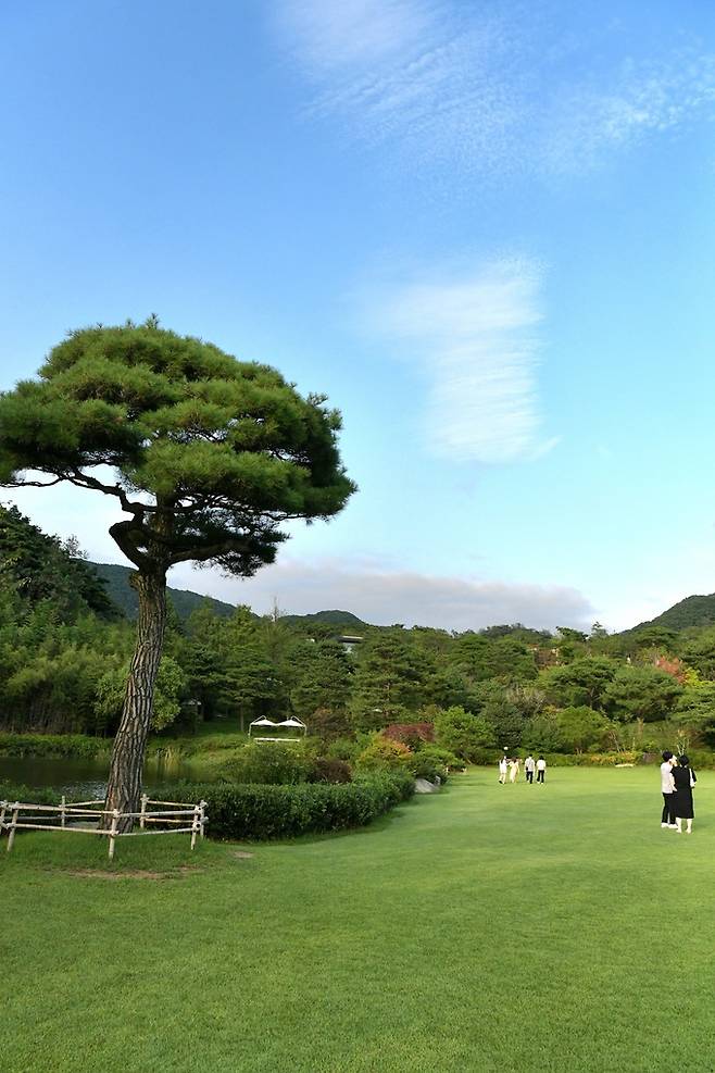 아담원 잔디광장.