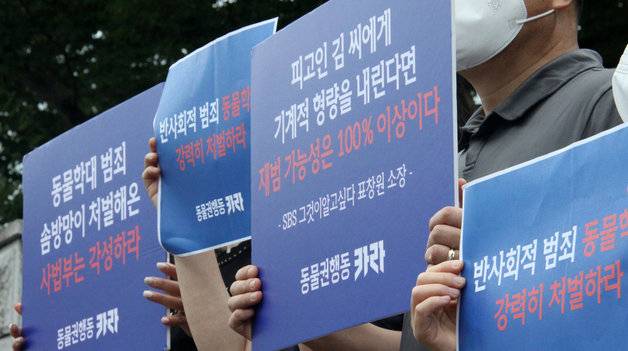 경북 포항에서 길고양이 10여마리를 잔혹하게 죽인 혐의로 구속 기소된 30대 남성 A씨의 공판을 지켜본 동물보호단체회원들이 법원 앞에서 피켓시위를 하고 있다. 2022.8.24 뉴스1