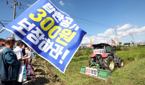 21일 오전 ‘쌀값보장 대책 촉구를 위한 논산 농민 논갈아엎기’ 집회가 열린 충남 논산시 상월면 논에서 논산시 쌀값안정대책위원회 농민들이 정부의 쌀값 보장을 요구하며 트랙터로 벼를 갈아엎고 있다. 2022.9.21/뉴스1 ⓒ News1 김기남 기자 /사진=뉴스1