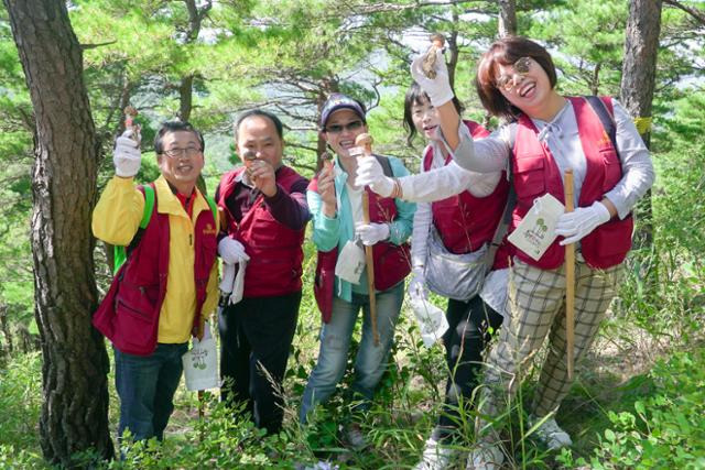 지난 2019년 양양송이축제 보물찾기 이벤트에 참가한 관광객들이 직접 채취한 송이를 들고 기념촬영을 하고 있다. 3년 만에 다시 열리는 송이축제는 30일부터 사흘간 남대천 둔치 및 양양전통시장에서 열린다. 양양군 제공