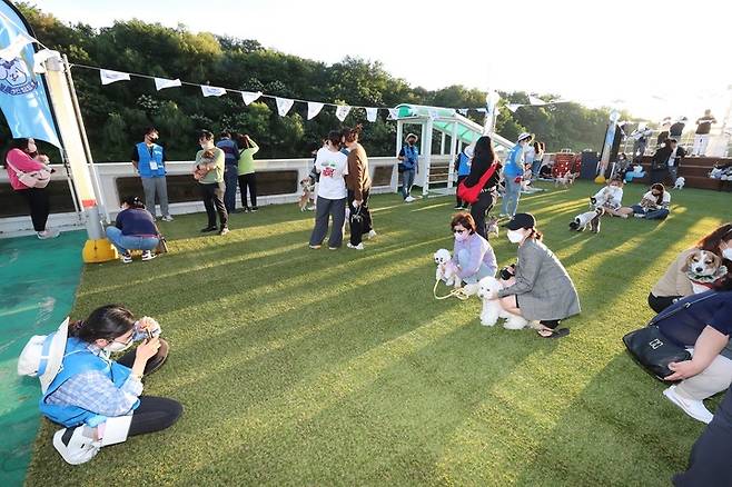 한국관광공사와 현대해양레져, 펫츠고트래블이 지난 25일 국내 최초 반려견 동반 전용 크루즈 상품 '경인아라뱃길 선셋 댕댕크루즈'를 시범 운영했다. (사진=한국관광공사 제공) photo@newsis.com *재판매 및 DB 금지