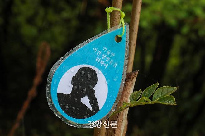 서울 마포 노을공원에 피해자를 추모하는 나무가 심겨 있다. / 이준헌 기자