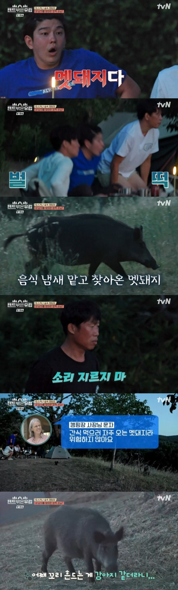 tvN '텐트 밖은 유럽' 캡처