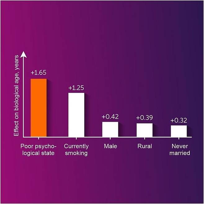 심리적 불안정이 흡연보다 더 노화를 촉진하는 변수라는 점을 보여주는 그래프. Deep Longevity/ Fedor Galkin 제공