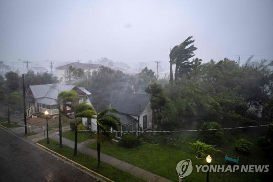 허리케인 이언이 동반한 강풍에 플로리다의 야자수가 흔들리고 있다. 사진=AFP연합뉴스