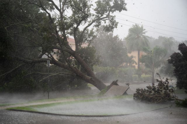 미국 플로리다주 사라소타에서 28일(현지시간) 허리케인 ‘이언’의 강풍을 이기지 못한 나무가 뿌리째 뽑혀 있다. AFP연합뉴스
