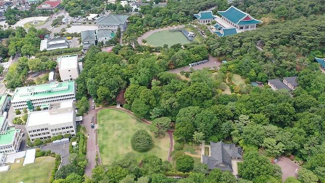 [서울=뉴시스] 청와대 노거수 군 전경 (사진=문화재청 제공) 2022.09.29. photo@newsis.com *재판매 및 DB 금지