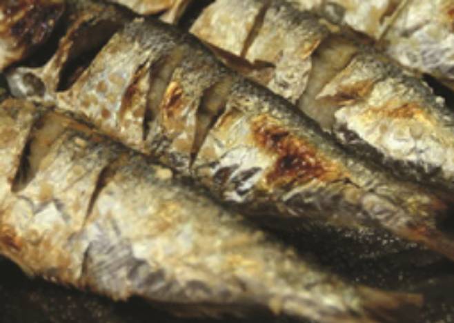 전어. 부안군 제공