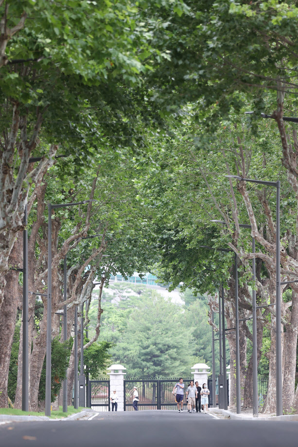 용산공원 시범 개방 연장 기간 마지막 날인 지난 6월 26일 오전 시민들이 산책을 즐기고 있다. (사진=연합뉴스)