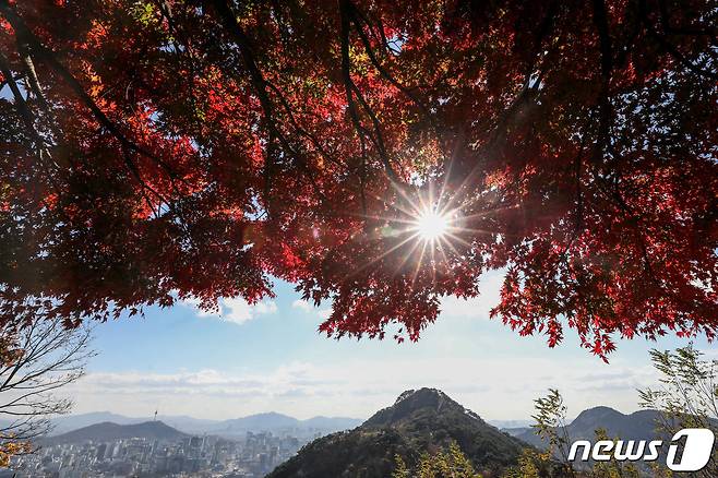 12일 서울 북악산 곡장전망대에서 붉게 물든 단풍잎 뒤로 서울 도심이 보이고 있다. 2021.11.12/뉴스1 ⓒ News1 성동훈 기자