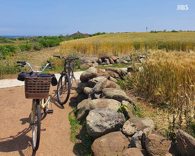 드라마 우리들의 블루스 촬영지였던 가파도.