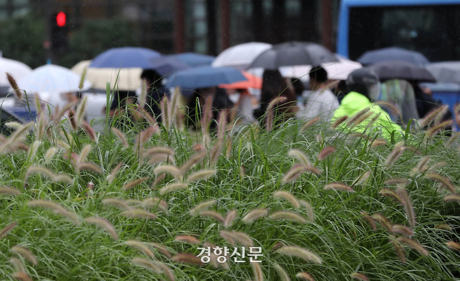 서울 광화문 사거리를 지나는 시민들이 우산을 쓰고 출근하고 있다. 김창길 기자