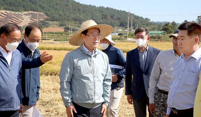 [해남=뉴시스] 이창우 기자 = 김영록 전남도지사(왼쪽 세 번째)가 1일 벼 수확이 한창인 해남군 옥천면 들녘을 찾아 벼 작황과 농가 애로사항을 청취하고, 관계자들을 격려하고 있다. (사진=전남도 제공) 2022.10.01. photo@newsis.com *재판매 및 DB 금지