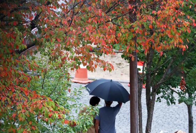 2일 강원 춘천시에서 단풍으로 물드는 가로수 너머로 우산을 쓴 시민들이 걸어가고 있다. 춘천=연합뉴스
