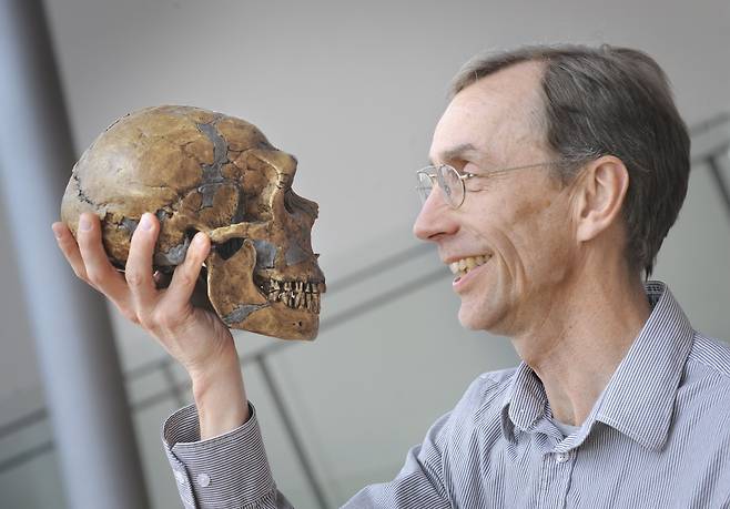 게놈(유전체) 연구를 통해 인류의 진화에 관한 비밀을 밝혀낸 스웨덴 출신 스반테 페보가 3일(현지시간) 2022 노벨 생리의학상 수상자로 선정됐다. 사진은 2010년 4월 27일 독일 라이프치히에서 두개골을 들고 포즈를 취하는 페보의 모습. /자료사진