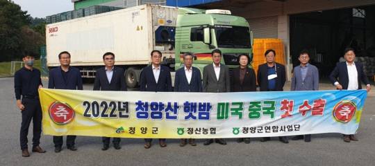 청양지역에서 생산된 햇밤 40t(1억3200만 원)이 미국, 중국, 홍콩 수출길에 올랐다.사진=청양군 제공