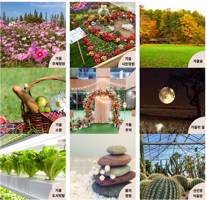 고양국제꽃박람회 제공