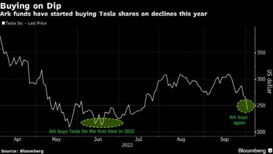 테슬라 주가와 아크 저가 매수 시점
