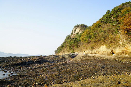 효자도 사진=보령시 제공