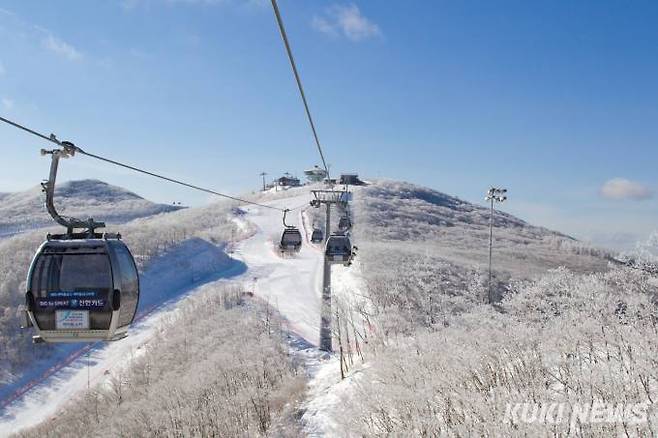 강원 정선 하이원스키장