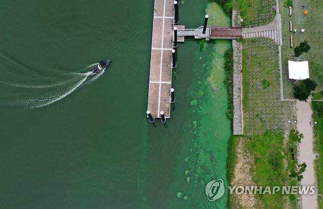 지난 8월 부산시민들의 식수 원수를 취수하는 경남 물금·매리 취수장 인근 낙동강이 녹조로 초록색을 띄고 있다. [사진 출처 = 연합뉴스]