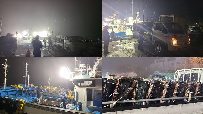 어부들이 서해에서 잡은 꽃게를 신진항에 내리고 있는 모습./사진=김아름 기자 armijjang@