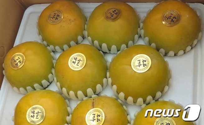 전북농협은 라이브커머스를 통해 태추단감 할인 판매를 실시한다고 5일 밝혔다.(전북농협 제공)2022.10.5/뉴스1