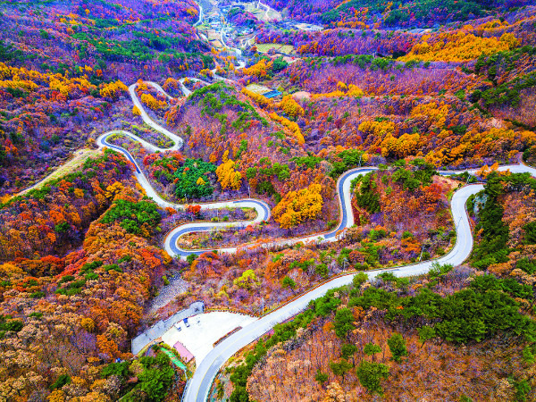 충북 영동 도마령.