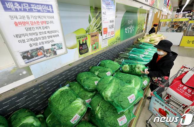 5일 서울 도봉구 하나로마트 창동점을 찾은 시민들이 농산물을 구매하고 있다. /사진= 뉴스1