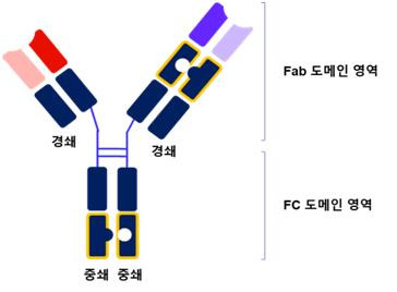 S-듀얼 플랫폼 구조 [삼성바이오로직스 제공. 재판매 및 DB 금지]