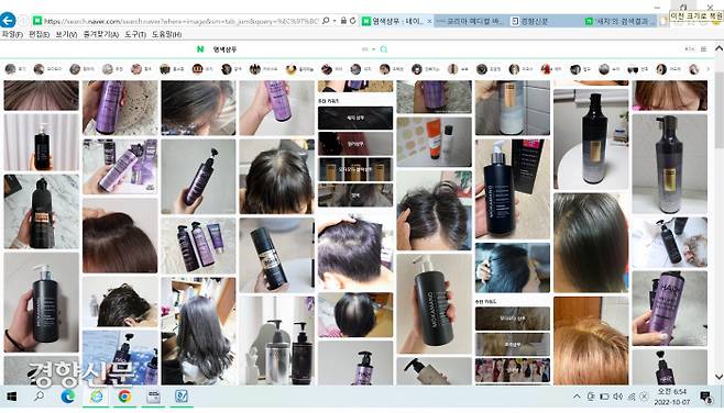 이 염색샴푸들의 안정성과 효과는? 인터엣 포털사이트에서 염색샴푸 이미지를 검색하면 다양한 제품들이 등장한다.