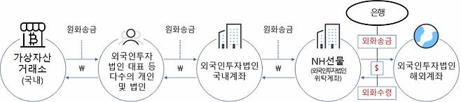 NH선물을 통한 수상환 외환거래 구조도/사진=금융감독원