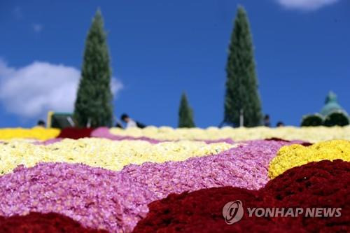 임실N치즈축제에 활짝 핀 국화     (임실=연합뉴스) 나보배 기자 = '임실N치즈축제'가 열리고 있는 8일 오전, 전북 임실군 임실치즈테마파크에서 관광객들이 국화꽃을 구경하고 있다. 2022.10.8
    warm@yna.co.kr