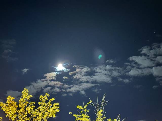 고스트 현상이 나타난 야간 사진