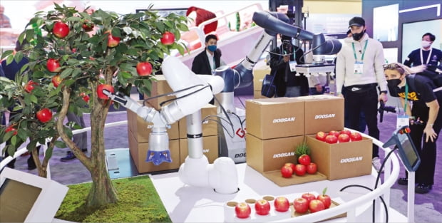 올해 1월 열린 CES 2022 전시회에서 두산로보틱스 협동로봇이 사과를 수확하고 포장하고 있다.  두산 제공