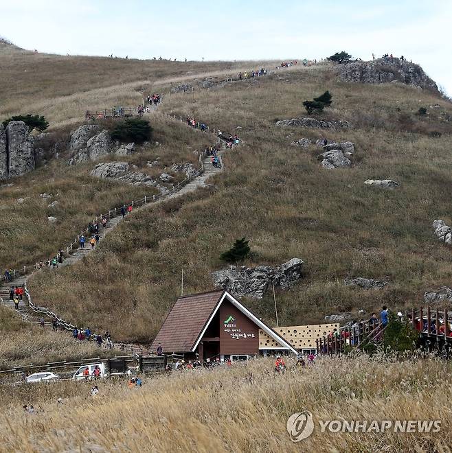 금빛 억새 물든 간월재 전경 [연합뉴스 자료사진.재판매 및 DB 금지]