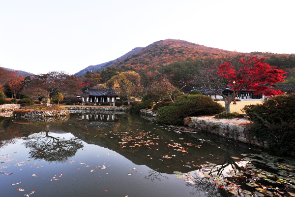 한국관광공사 선정 10월 가볼 만한 곳에 포함된 ‘비움과 채움이 있는 가을 정원’이다. 사진은 전남 진도 운림산방의 아름다운 가을 풍경. 한국관광공사 제공