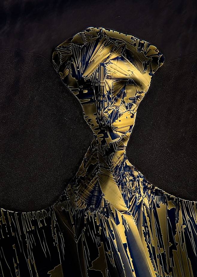 2022년 니콘 스몰 월드 현미경 사진전 9등작, 액체 결정 혼합물. Marek Sutkowski/Nikon Small World