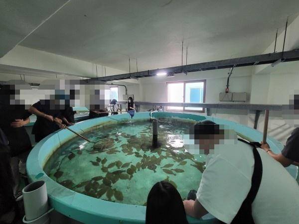 지방의 한 국립대 해양과학교육원은 살아 있는 넙치를 잡아 해부하는 실습 프로그램을 운영했으나 카라의 지적 이후 실습을 중단했다. 온라인 캡처