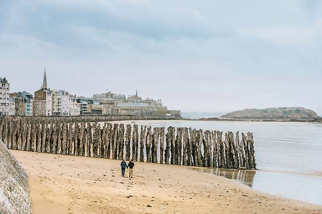 거친 파도를 막기 위해 세운 참나무 방파제. OFFGstudio 김은주