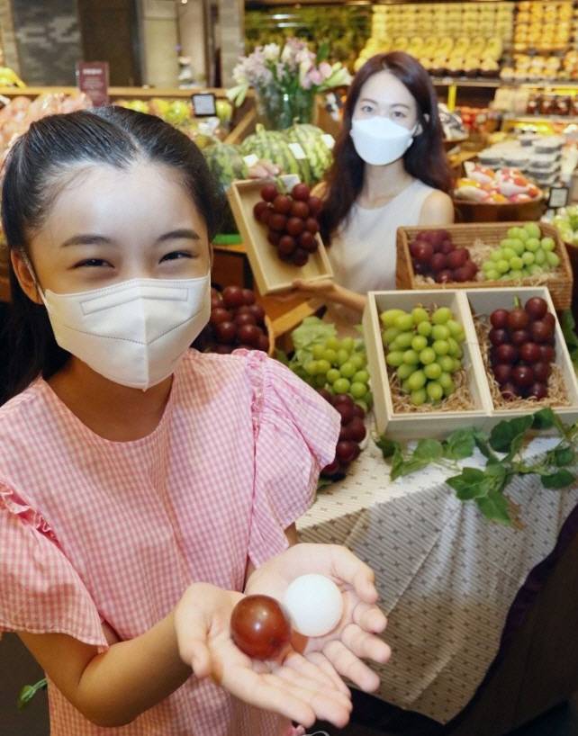 지난해 7월 신세계백화점 본점과 강남점 그리고 SSG 푸드마켓 청담점과 도곡점에서 선보인 세계에서 가장 비싼 포도 `루비로망`과 샤인머스켓 2세대 품종인 `쥬얼머스캣` 상품. [사진 제공 = 연합뉴스]