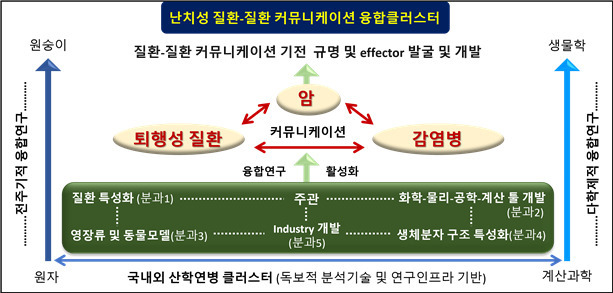 난치성 질환-질환 커뮤니케이션 융합클러스터 추진체계.[KBSI 제공]