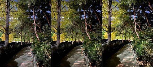 (왼쪽부터)아이폰12 프로, 아이폰14 플러스, 아이폰14 프로로 촬영한 사진./사진=백유진 기자 byj@