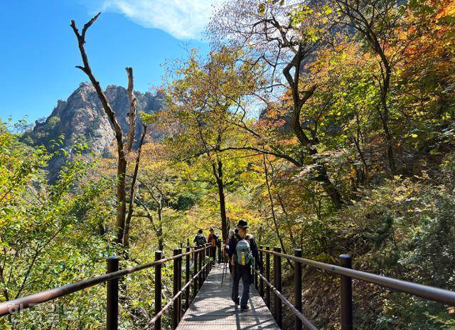흘림골에서 주전골로 내려오는 탐방로는 기기묘묘한 바위봉우리 사이를 걷는 구조다.