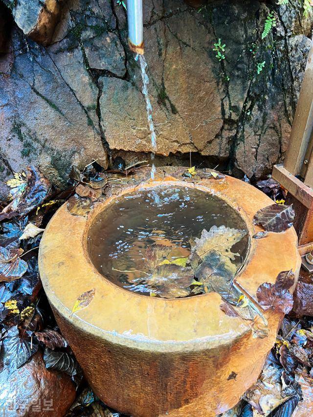 미천골 불바라기 약수 주변 바위가 온통 누렇게 변해 있다. 약수는 황룡폭포 상부에서 연결한 호스를 통해 졸졸 흐른다.