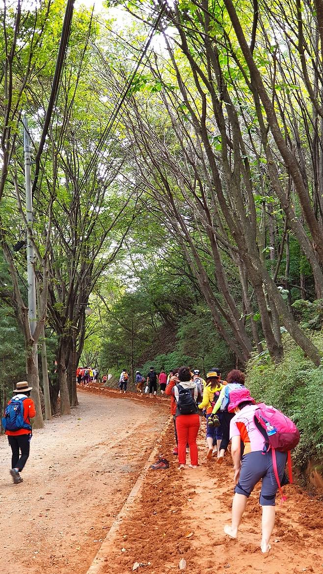 계족산 황톳길