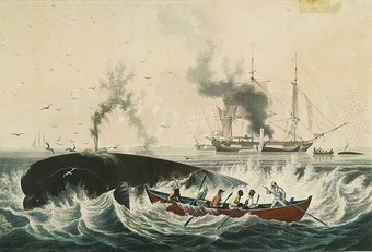 1835년의 고래잡이 그림 / 사진=위키피디아